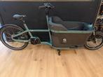 CARQON CRUISE E2