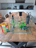 Aquarium compleet, Dieren en Toebehoren, Ophalen, Nieuw, Overige typen