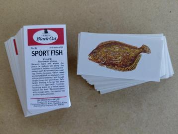 Sport Fish complete set 50 chromos vissen 1978 Carreras beschikbaar voor biedingen