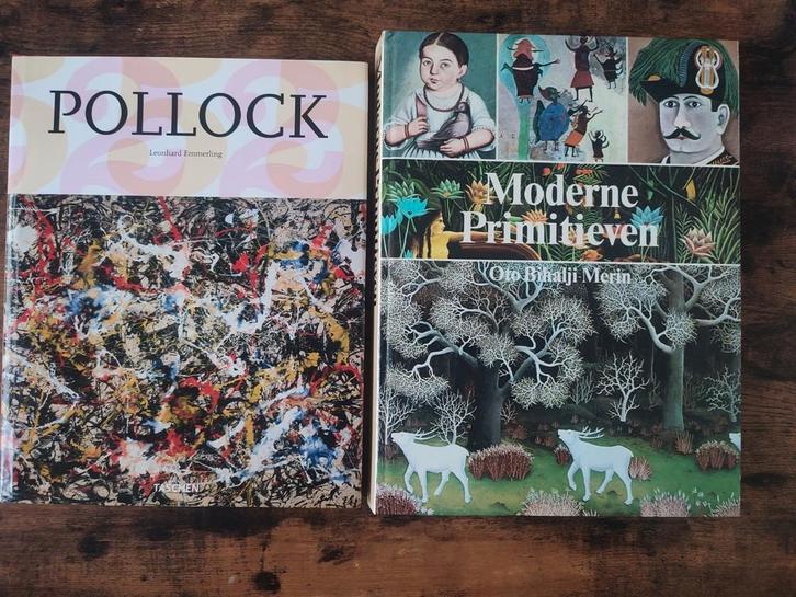 Jackson Pollock & Moderne Primitieven, Boeken, Kunst en Cultuur | Beeldend, Zo goed als nieuw, Ophalen of Verzenden