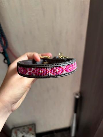 Kentucky halsband maat xxs beschikbaar voor biedingen