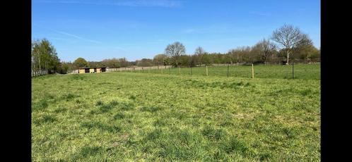 Weide plaats (2plaatsen), Dieren en Toebehoren, Stalling en Weidegang, Opfok, Stalling, Weidegang, 2 of 3 paarden of pony's