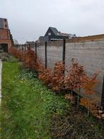 Houten schutting 25m, Jardin & Terrasse, Palissades, 6 mètres ou plus, Comme neuf, Enlèvement, Bois