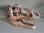 Stenen Replica Schedel Dinosaurus T-Rex, Verzamelen, Dierenverzamelingen, Ophalen, Schedel