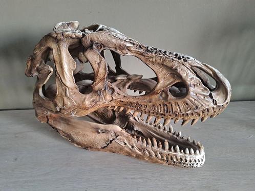 Stenen Replica Schedel Dinosaurus T-Rex, Verzamelen, Dierenverzamelingen, Schedel, Ophalen