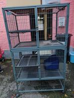 Cage furet, Animaux & Accessoires, 90 cm ou plus, Enlèvement, Utilisé, Cage