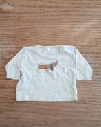 Longsleeve met print van Zeeman maat 50, Zeeman, Gebruikt, Jongetje of Meisje, Ophalen of Verzenden