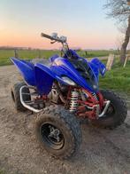 Yamaha raptor 350, Motoren, 350 cc