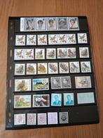 Timbres Congo belge et de Belgique, Postzegels en Munten, Postzegels | Afrika, Ophalen of Verzenden, Overige landen, Postfris