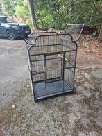 Papegaaienkooi te koop, Ophalen, Gebruikt