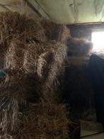 Balen Stro, Enlèvement ou Envoi