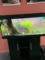 Juwel 180L Compleet + kast + Eheim Filter, Ophalen, Gebruikt, Leeg aquarium