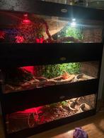 Terrarium / slangen, Dieren en Toebehoren, Ophalen, Zo goed als nieuw