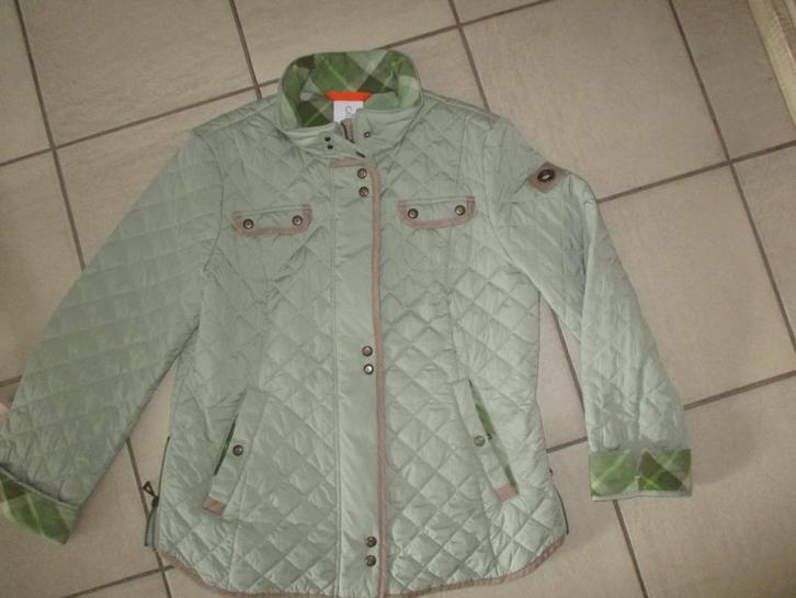 GROOT MERK  JIL BRET  MAAT 40 SUPER KOOP, Kleding | Dames, Jassen | Zomer, Nieuw, Maat 38/40 (M), Groen, Ophalen of Verzenden