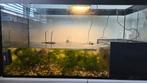 Aquarium met vissen waterschildpadden en accessoires, Dieren en Toebehoren, Ophalen, Zo goed als nieuw