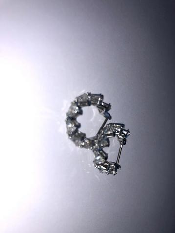 Swarovski oorbellen beschikbaar voor biedingen