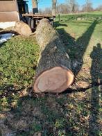 Eiken boomstam, Ophalen