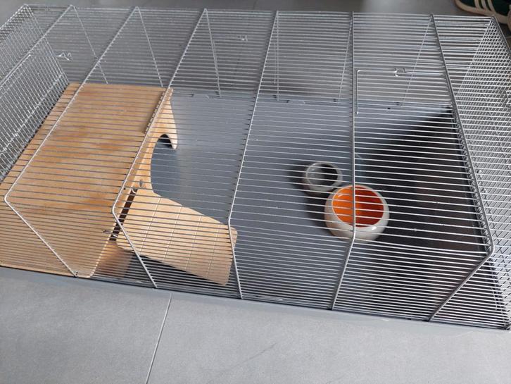 Ruime kooi knaagdieren, Dieren en Toebehoren, Knaagdieren en Konijnen | Hokken en Kooien, Gebruikt, Kooi, 90 cm of meer, Minder dan 75 cm