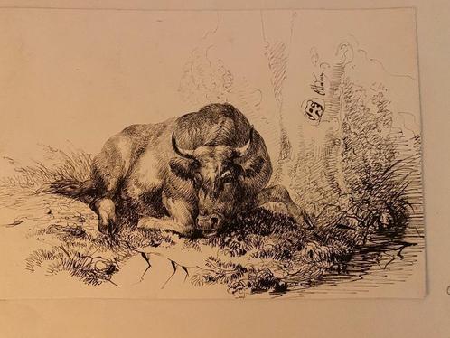 OTTEVAERE August-Ferdinand (1810-1856) Stier toreau XIXe, Antiek en Kunst, Kunst | Tekeningen en Fotografie, Ophalen of Verzenden