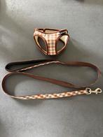 Leiband + harnas puppy, Enlèvement, Comme neuf