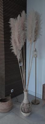 Pampas + pot, Huis en Inrichting, Woonaccessoires | Droogbloemen, Ophalen of Verzenden, Zo goed als nieuw