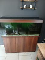 Juwel aquarium met kast en toebehoren, Dieren en Toebehoren, Ophalen, Zo goed als nieuw