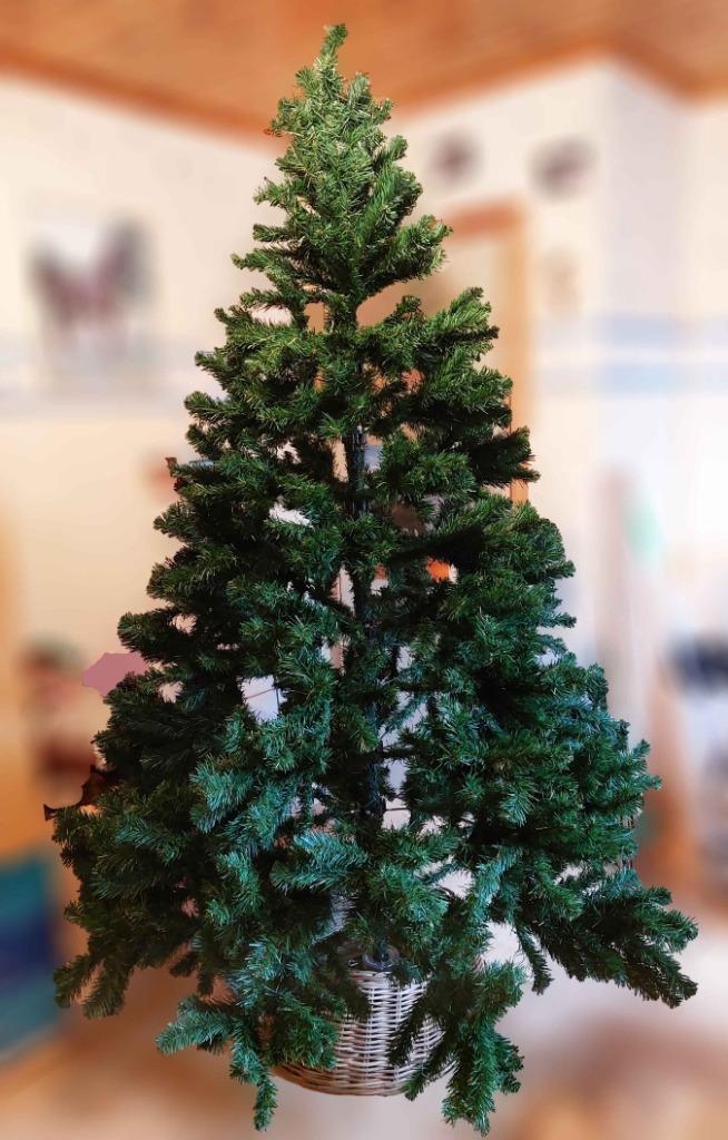 kerstboom, Diversen, Kerst, Gebruikt, Ophalen