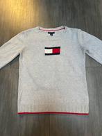Tommy Hilfinger, Vêtements | Hommes, Pulls & Vestes, Neuf, Beige, Tommy hilfiger, Taille 48/50 (M)