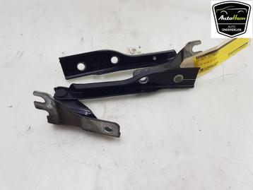 MOTORKAPSCHARNIER Volkswagen Polo V (6R) (01-2009/05-2022) beschikbaar voor biedingen