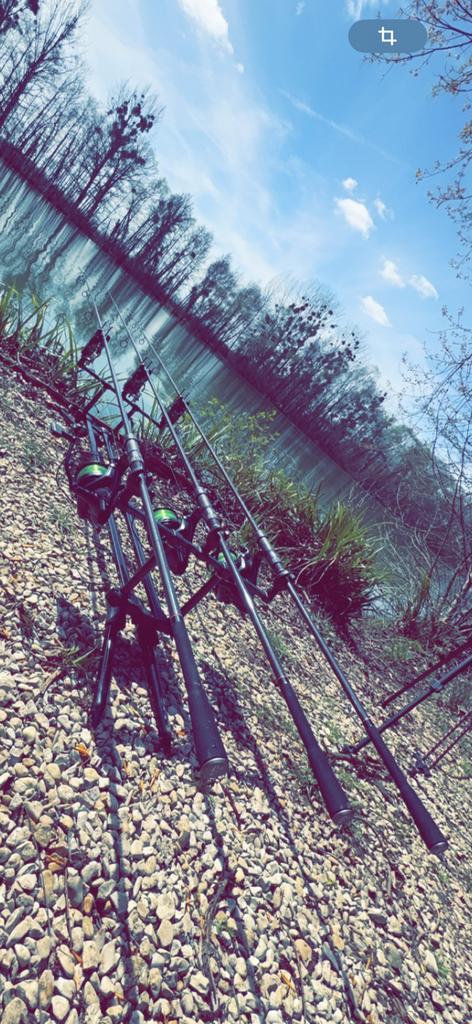 Canne fox et moulin shimano, Watersport en Boten, Hengelsport | Karpervissen, Zo goed als nieuw, Ophalen of Verzenden