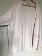 Tuniek, Vêtements | Femmes, Blouses & Tuniques, Zie foto, Enlèvement ou Envoi, Beige, Taille 42/44 (L)