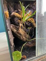 Terrarium, Ophalen, Zo goed als nieuw