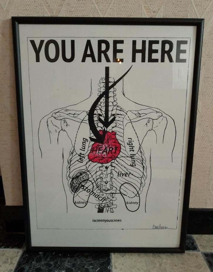You Are Here anatomie poster in kader - 53x73cm, Verzamelen, Posters, Zo goed als nieuw, Ophalen of Verzenden