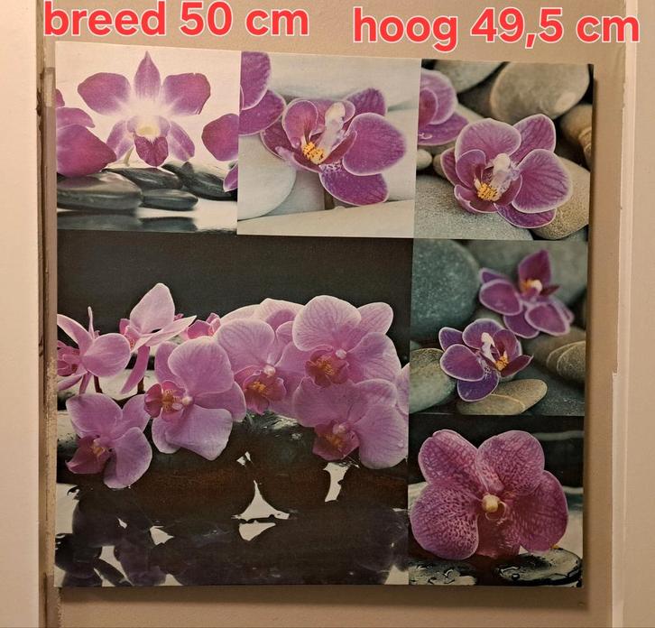 Cadres et décoration de chaises, Maison & Meubles, Accessoires pour la Maison | Peintures, Dessins & Photos, Enlèvement ou Envoi