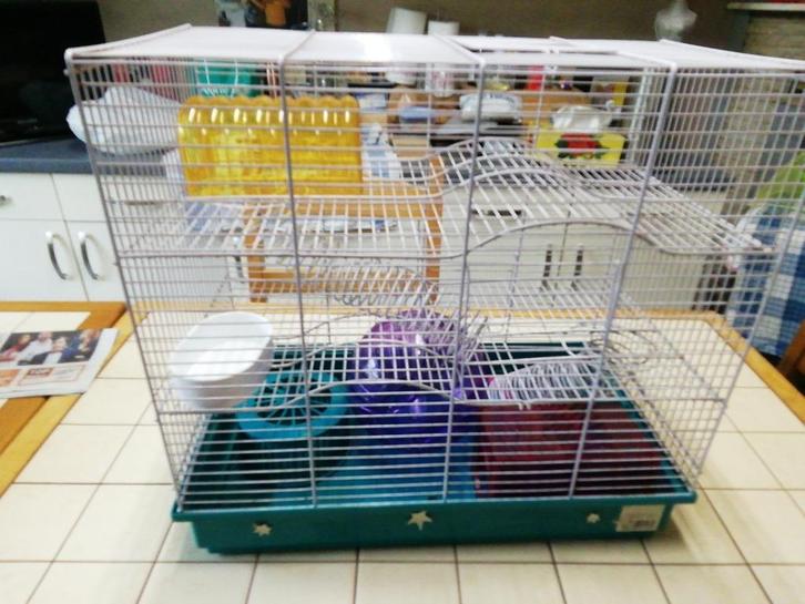 Cage pour hamster complète, Dieren en Toebehoren, Knaagdieren en Konijnen | Hokken en Kooien, Gebruikt, Kooi, Minder dan 60 cm
