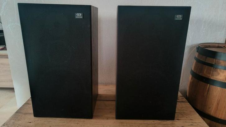 Moniteur audio max 800, TV, Hi-fi & Vidéo, Enceintes, Enlèvement