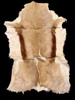 oud vel van een springbok, jaren 60-70, Ophalen of Verzenden, Zo goed als nieuw, Wild dier, Overige typen