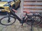 Elektrische fiets uniek, Fietsen en Brommers, Ophalen, Nieuw, Overige merken
