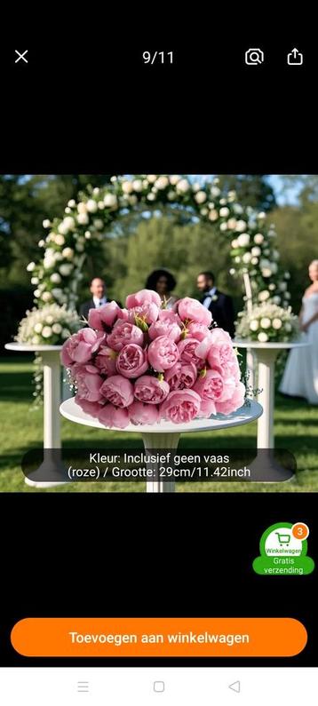Gezocht Bloemschikker/ster beschikbaar voor biedingen