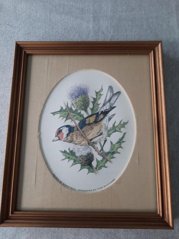 Kader met kleurengravure vogel - met certificaat  - 1981, Huis en Inrichting, Woonaccessoires | Lijsten, Zo goed als nieuw, Minder dan 50 cm