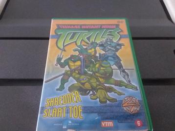 Turtles  beschikbaar voor biedingen