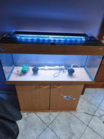 Aquarium, Dieren en Toebehoren, Ophalen, Gebruikt, Leeg aquarium