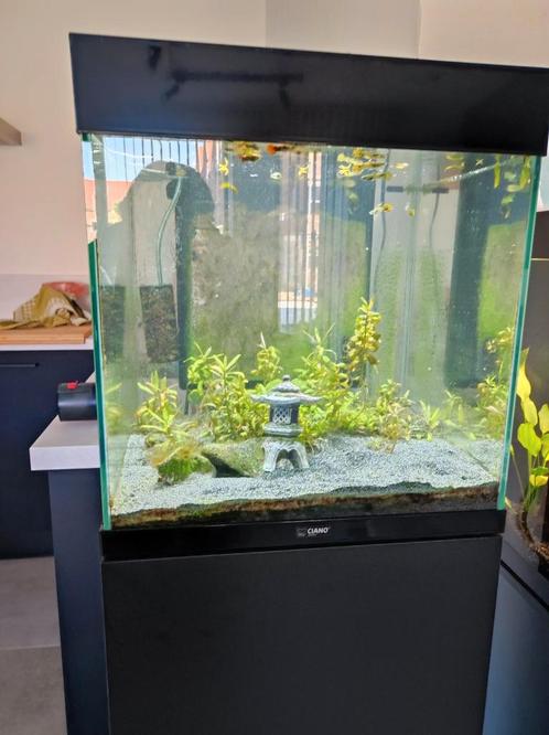 Ciano emotions 40 zwart, Dieren en Toebehoren, Vissen | Aquaria en Toebehoren, Zo goed als nieuw, Ophalen
