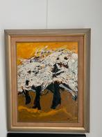 Lentebloesem G De Pauw, Enlèvement