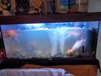 Aquarium juwel 100cm met toebehoren, Ophalen, Gebruikt, Gevuld zoetwateraquarium