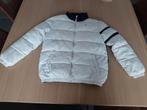 Tommy hilfiger jas 152, Gebruikt, Ophalen of Verzenden, Tommy Hilfiger, Jongen