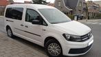 Volkswagen Caddy maxi 2.0D Bj 2019 163000 km cargo léger, Autos, Euro 6, Entreprise, Diesel, 3 portes