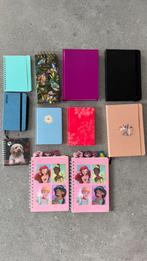 Pakket van 11 notitieboekjes. Onbeschreven., Ophalen of Verzenden, Nieuw