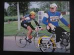 wielerkaart 1981 team ludo safir  herman van springel, Comme neuf, Envoi