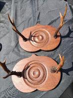 Bois de cerfs décoratifs, Enlèvement, Comme neuf, Cerf, Bois ou Tête